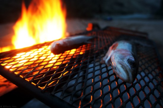IMG_5988_trout_grill